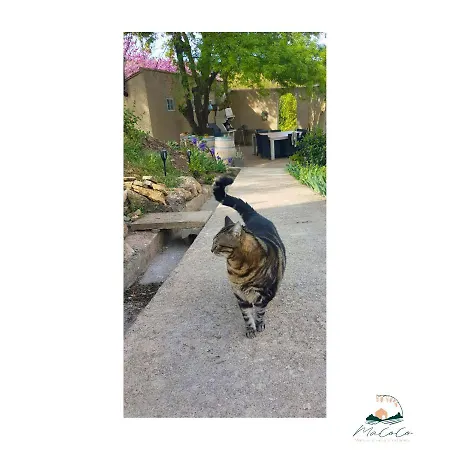 Macoco Maison Coeur Corbieres Bed & Breakfast