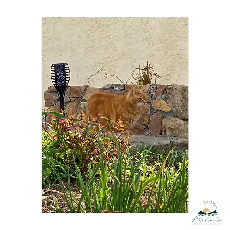 Macoco Maison Coeur Corbieres Couette-café 4*