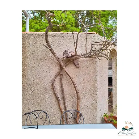 Bed & Breakfast Macoco Maison Coeur Corbieres *