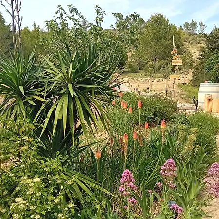 Bed & Breakfast Macoco Maison Coeur Corbieres Fontjoncouse