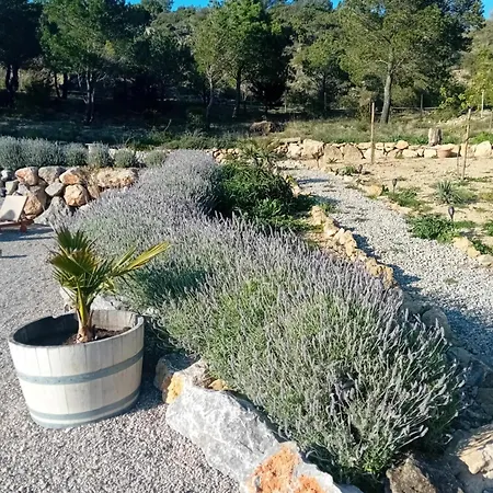 Macoco Maison Coeur Corbieres * Fontjoncouse