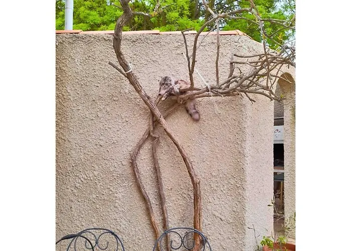 Oda ve Kahvaltı Macoco Maison Coeur Corbieres 4*